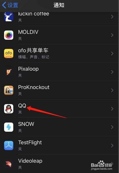 手机qq迷你版苹果版苹果版ios系统下载-第2张图片-太平洋在线下载