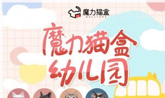 华为手机主题喵喵喵
:魔力猫盒：本年度最IN大法 用谈恋爱的方式来养猫-第3张图片-太平洋在线下载