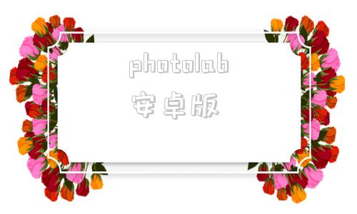 photolab安卓版snapseed手机安卓版