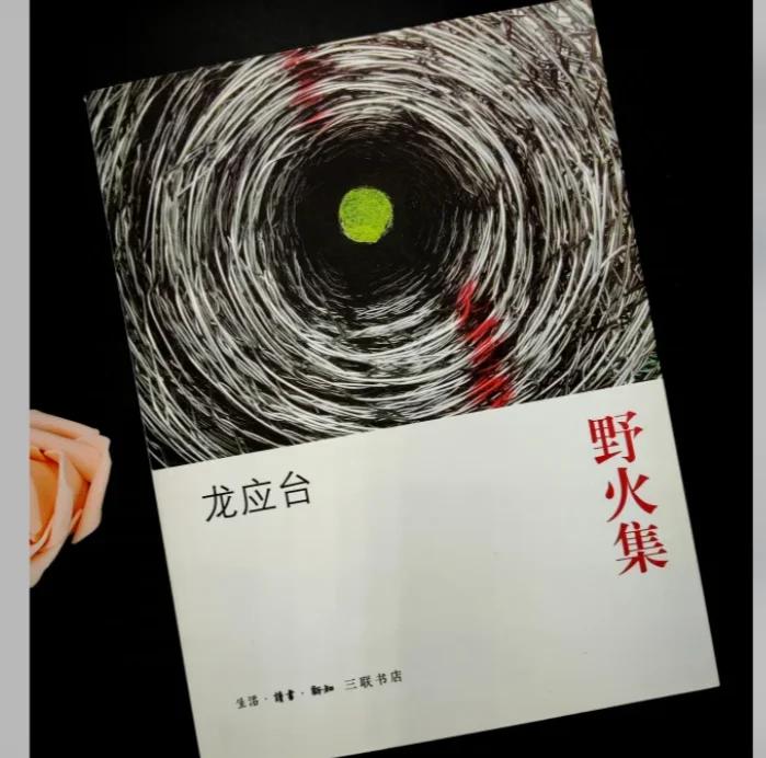 野火tv苹果版野火电视海外版苹果系统-第2张图片-太平洋在线下载